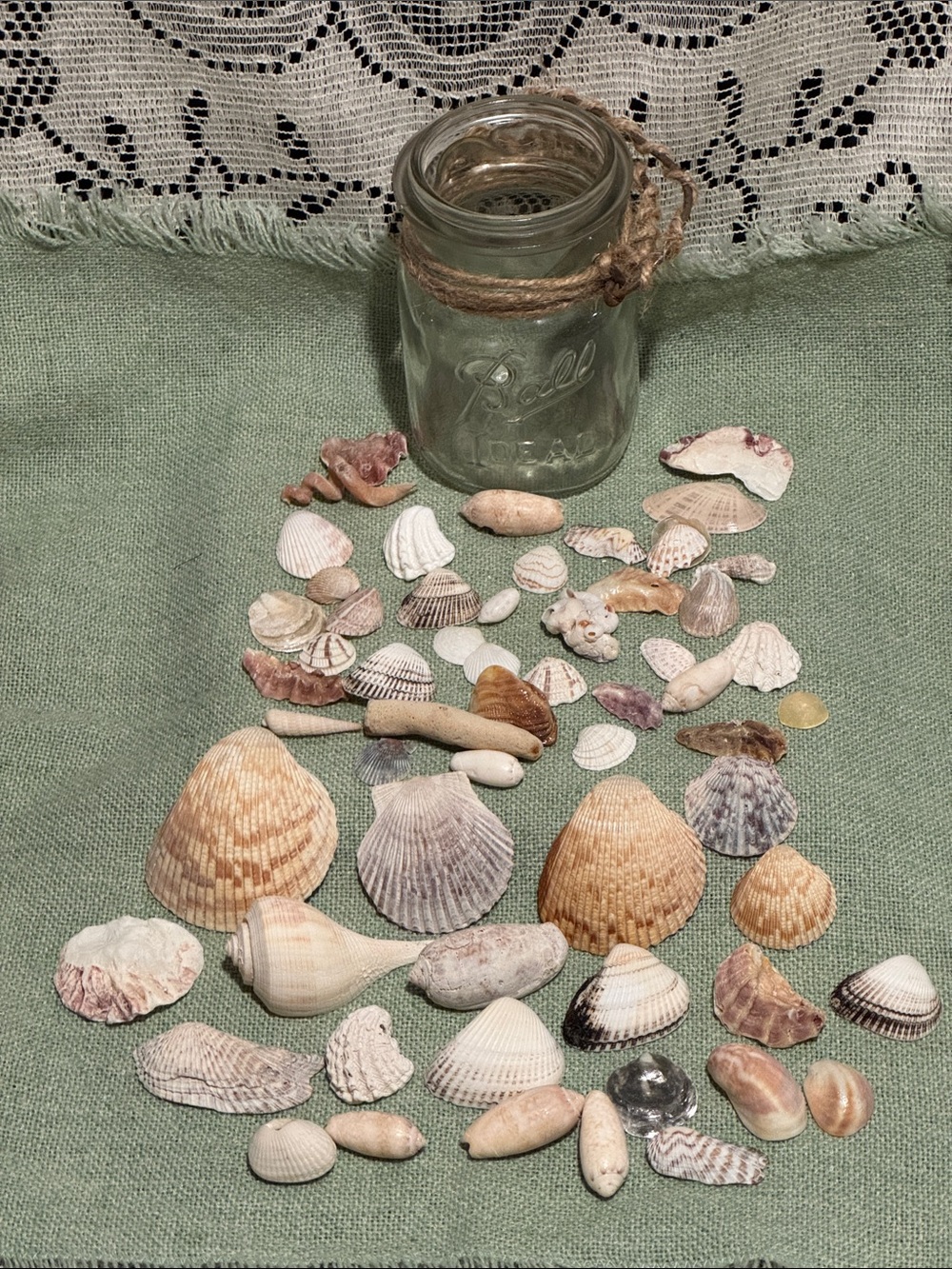 Authentic Seashells in a Pint Size Glass Ball Canning Jar with Wire Bail